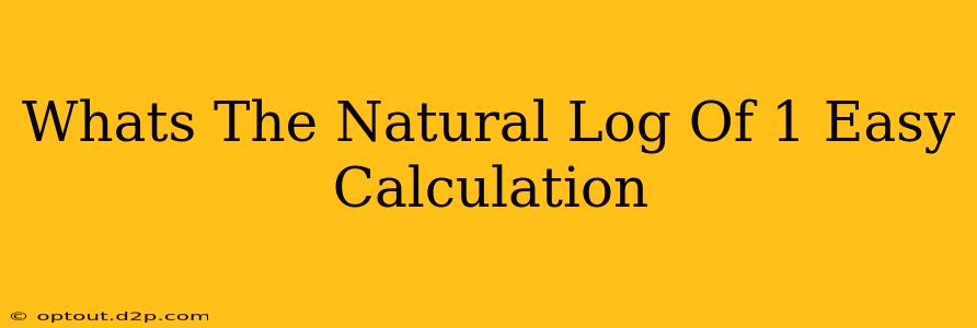 Whats The Natural Log Of 1 Easy Calculation